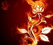 pic for Fire Flower 